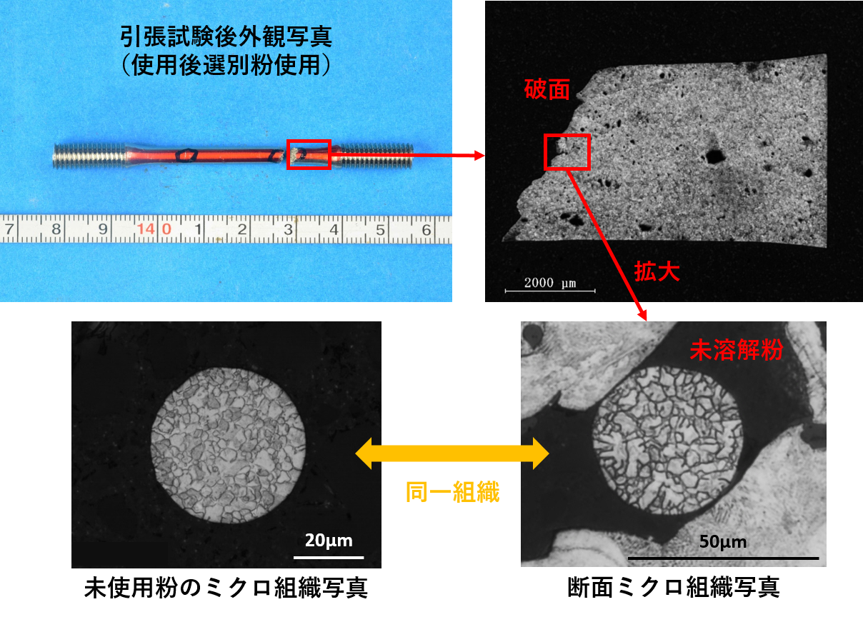 図5.造形品のミクロ組織観察結果